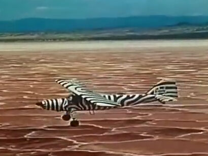 ein Propeller-Flugzeug mit Zebra-Muster